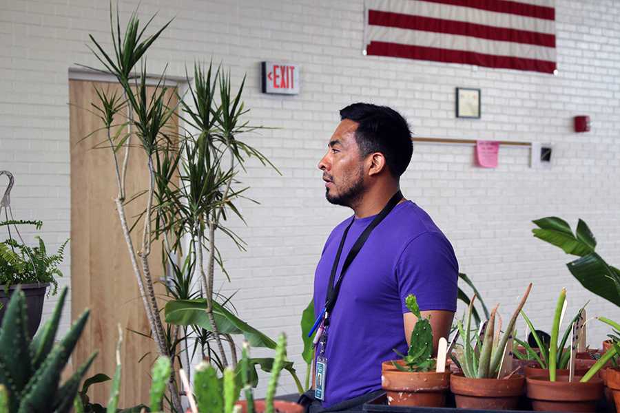 Green House sells plants