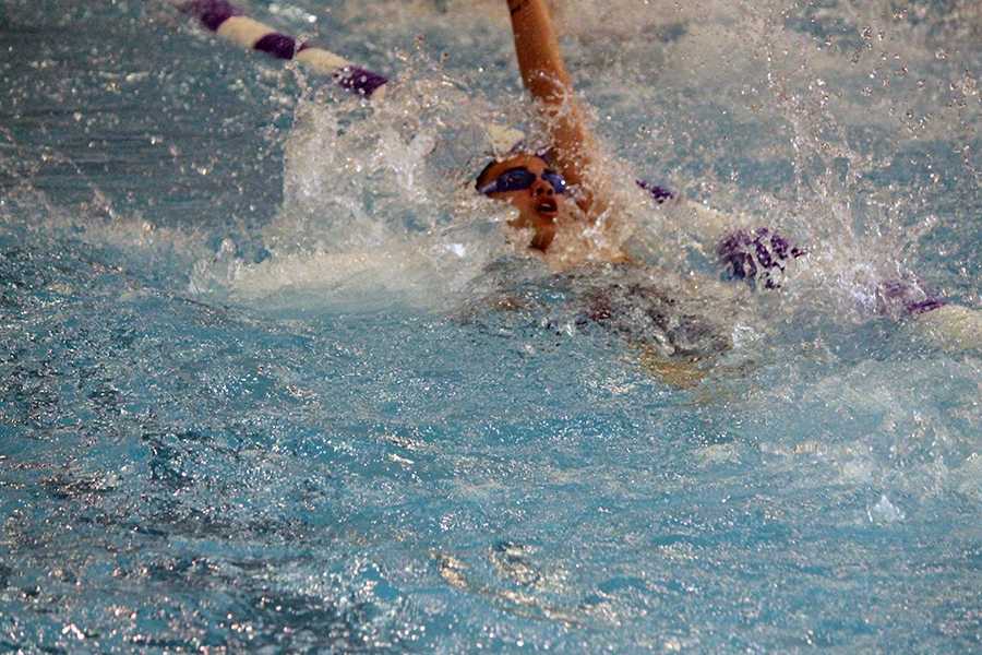 Swim and Dive prepare for season