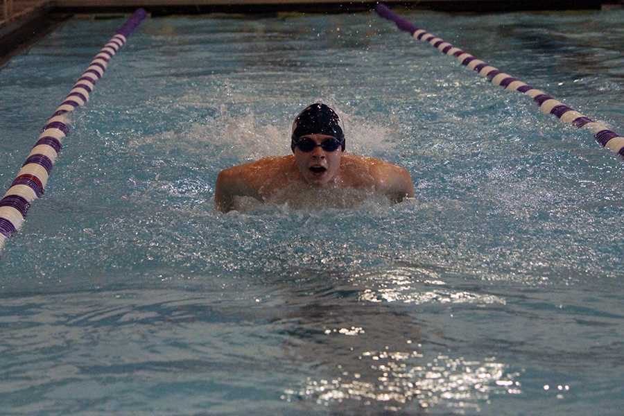 Swim and Dive prepare for season