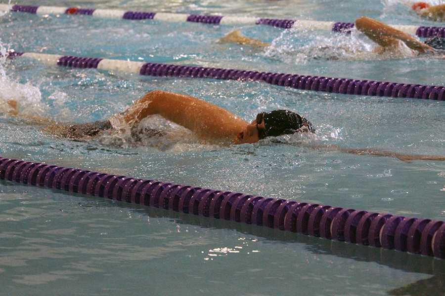 Swim and Dive prepare for season