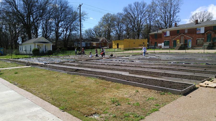 Youth group helps inner city with mission trip