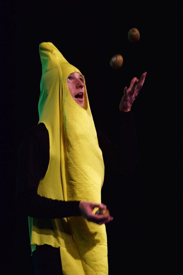 Dressed as a banana, senior Logan Logback juggles kiwis during his talent portion of the Mr. MHS competition. For his talent, Logback rolled on and off stage in a shopping cart and juggled various fruits. Logback's talent proved to be a successs along with his evening wear and swim wear as he took home the first place crown and prestiged title of Mr. MHS.