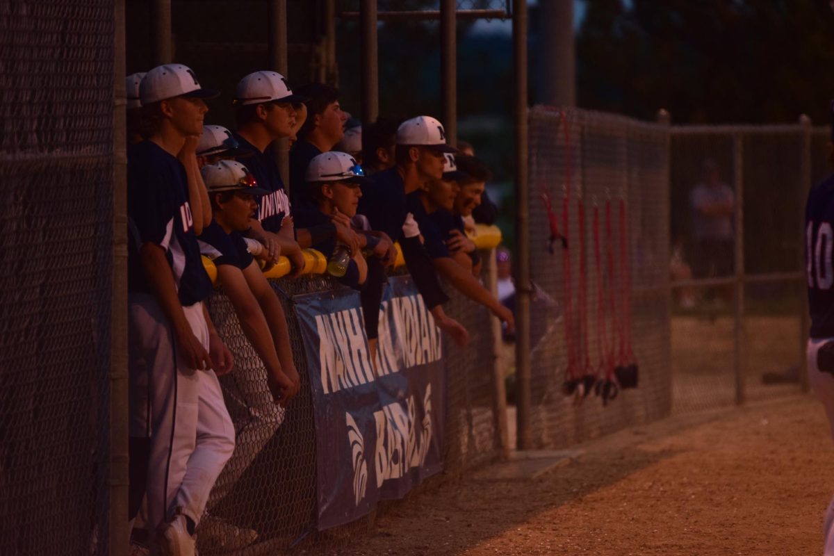 Baseball cruises past regionals into State