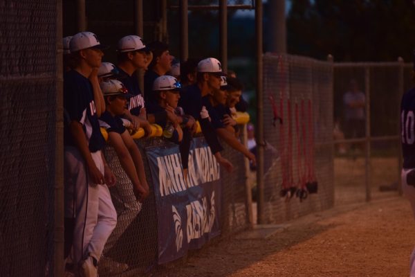 Baseball cruises past regionals into State