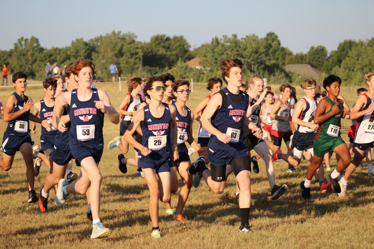 Cross country places second at league