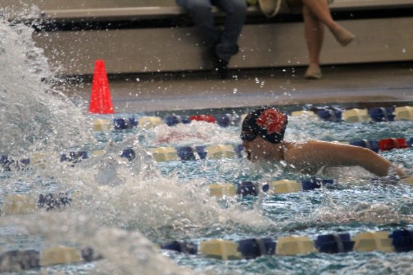 Swim and Dive place second at League