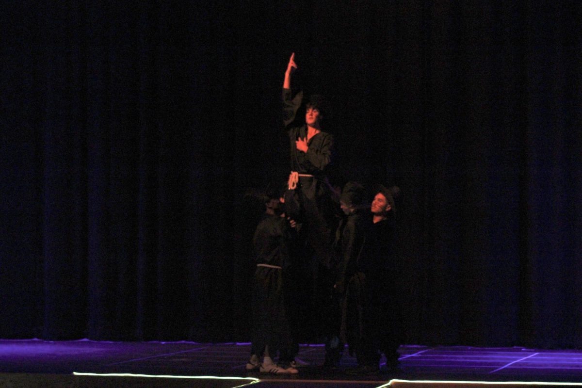 Idol! Patrik Husher playing the mane part of the dance ruten for the song Your Idol. Patric won the Mr. MHS aword. 