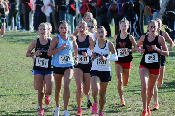Keep calm and run on. Senior Gabriella Converse marches through the racetrack in the MHS Girls Varsity Cross Country team’s State run. Converse keeps going on the trail while being surrounded by a mass of other runners from the other schools that are also participating in this race. This event was held on Nov. 1.