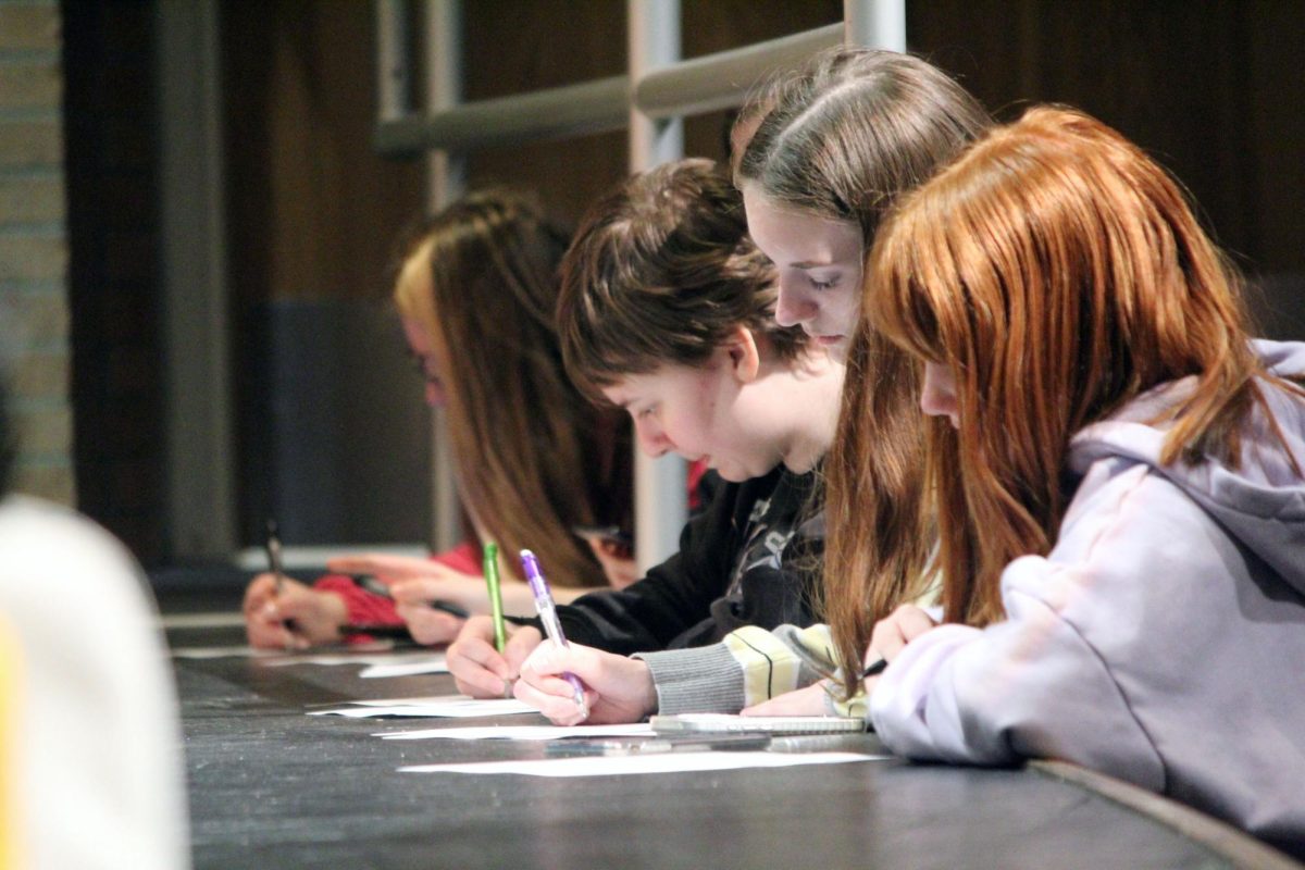 Sign up. On Mar. 24, students of all grades gather in Rezac Auditorium to sign up for the upcoming spring play, Proofs. This show is made up of a tiny cast, it only has four roles! The solution the drama teacher Ginny Pape found, is to double cast the roles. So instead of four, there are now eight cast members. There were callbacks for a few of these divine actors that played out on the next day, Mar. 25, in Rezac Auditorium. 