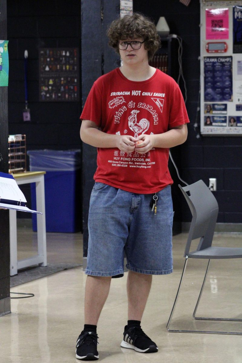 Uh… Line? Junior Bryce Hutchinson works through the kinks and cures in the script as he plays through the scenes (mostly) from memory. Hutchinson is a part of the cast of actors for the MHS spring play, Proofs. The tech day that this was on was for all the cast and crew to run the lights, scripts and try out the costumes for the big show. The rehearsal was on Apr. 26.