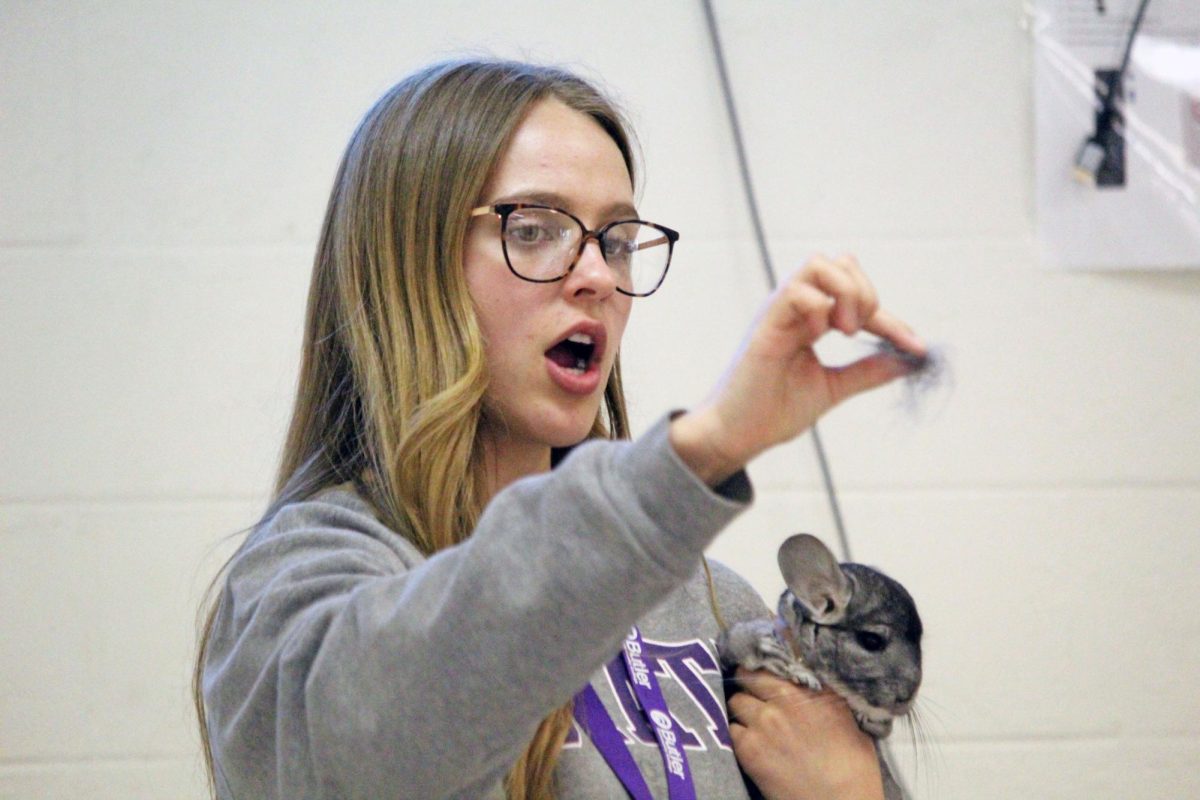 Fluffy lesson Manhattan High School senior Ava McGee, a member of the Wide Horizons club, explains a chinchilla’s defense mechanis, shedding fur when frightened to elementary students at Portoff Hall on Apr. 28, 2026. 